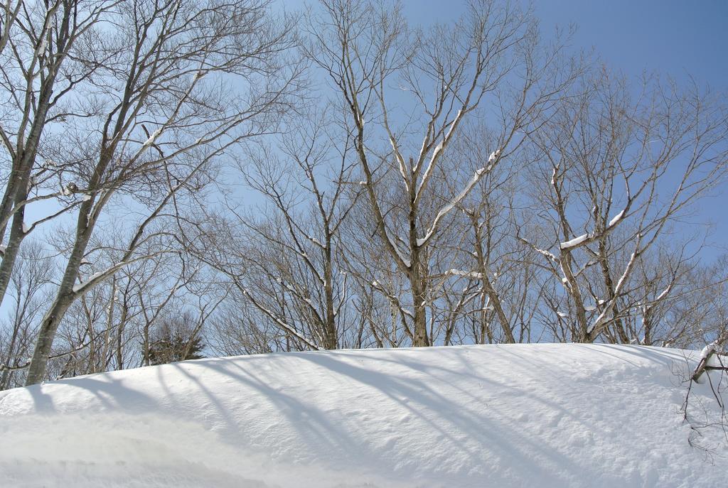 فندق Altitude Madarao Iiyama المظهر الخارجي الصورة